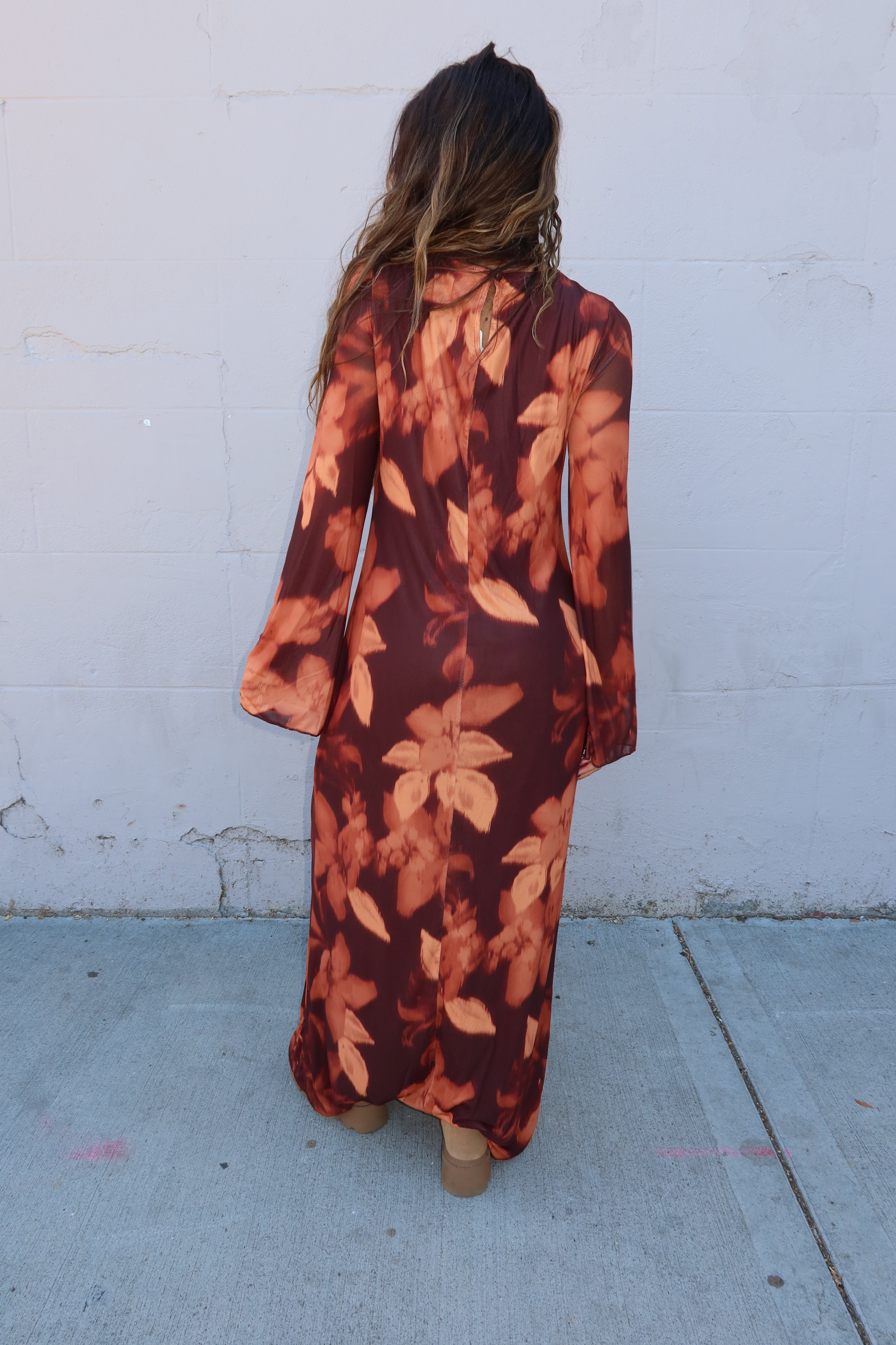 Autumn Haze Sheer Dress