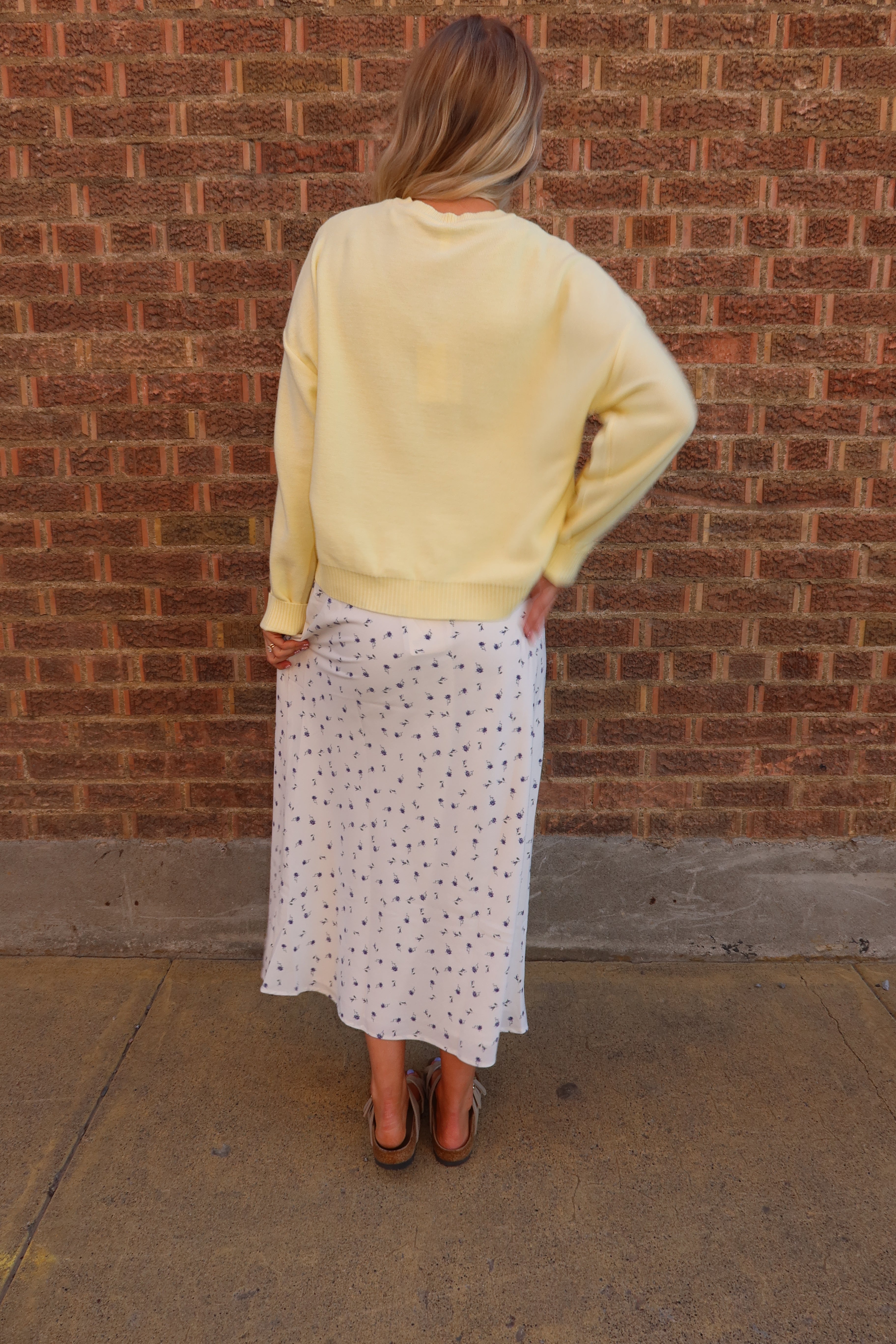Petal Sky Skirt